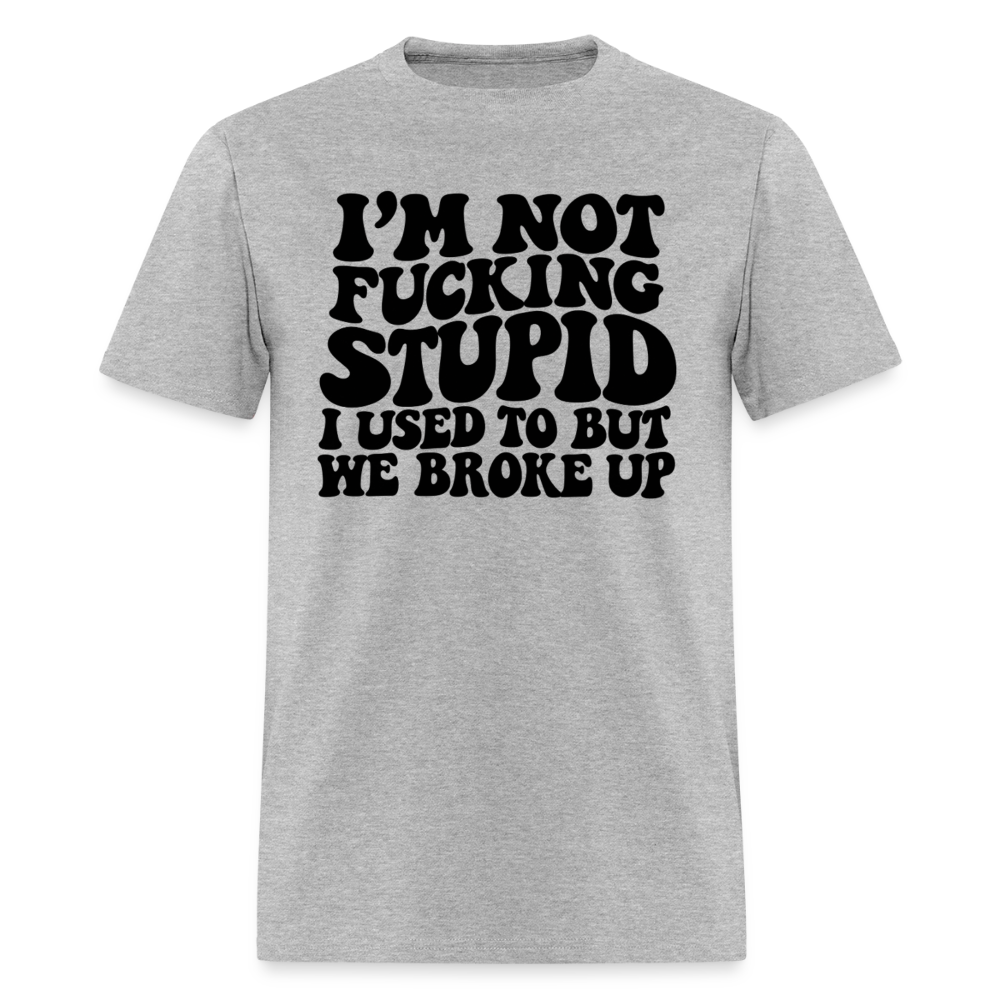 I'm Not Fucking Stupid — We Broke Up T-Shirt - heather gray