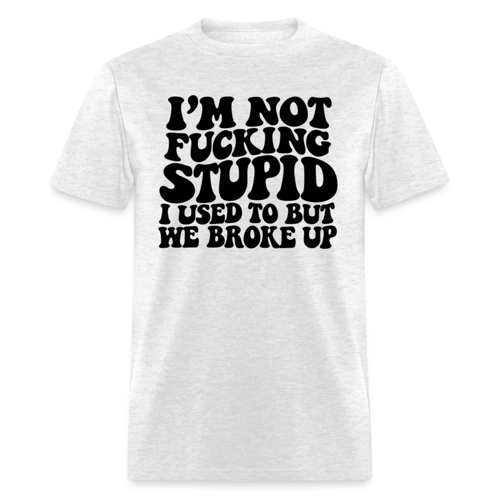 I'm Not Fucking Stupid — We Broke Up T-Shirt - light heather gray